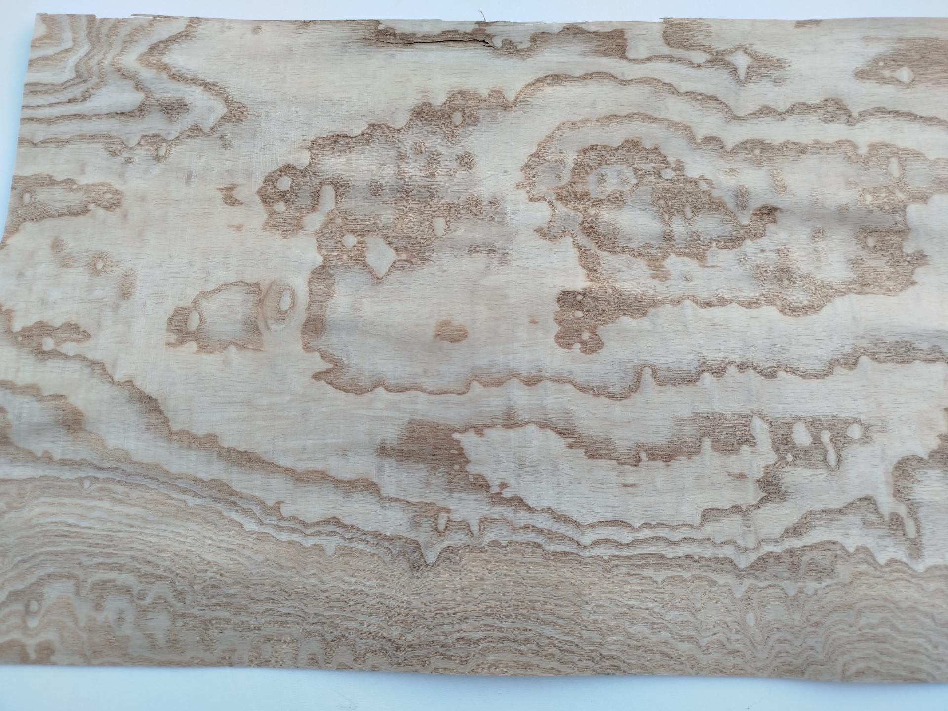 438 frene du japon tamo placage feuille de bois marqueterie 3
