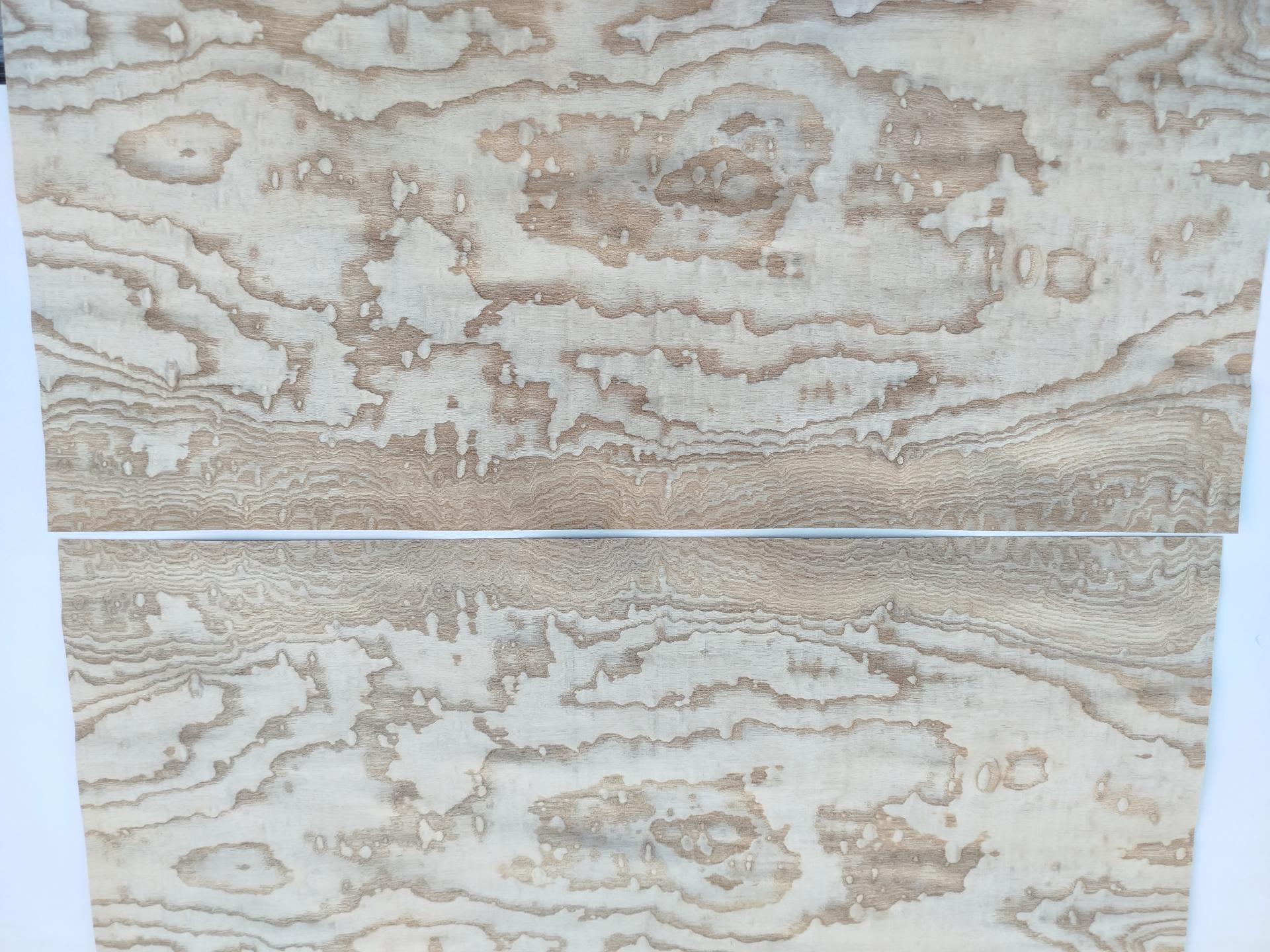 438 frene du japon tamo placage feuille de bois marqueterie 4