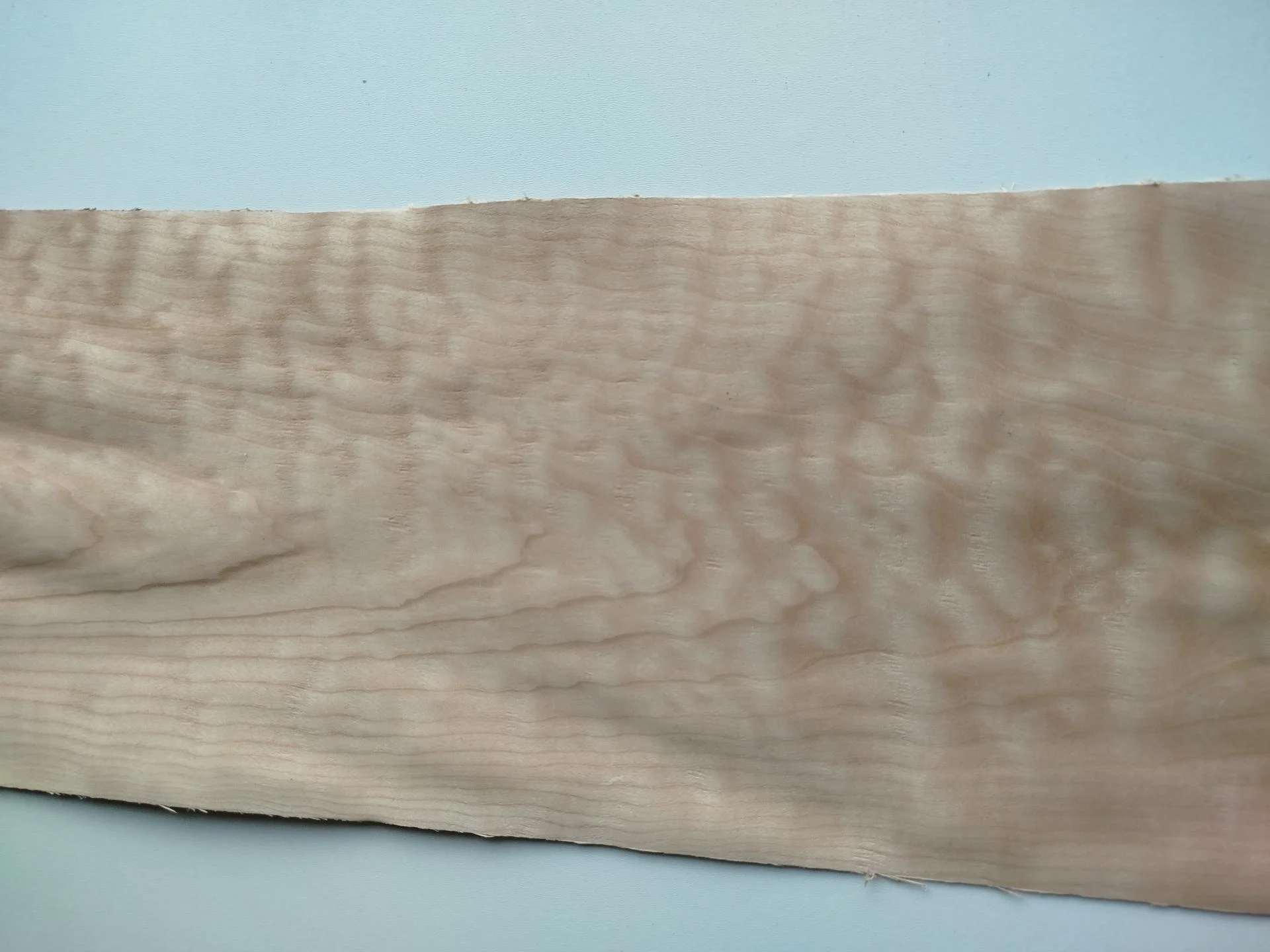 443 erable pommele placage marqueterie ebenisterie 2