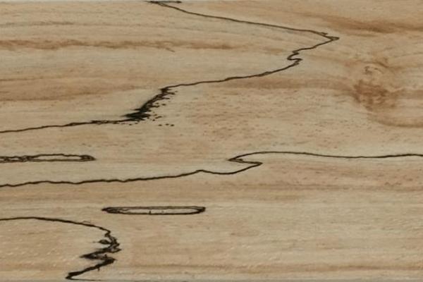 447 hetre truffe feuille de bois marqueterie 1 