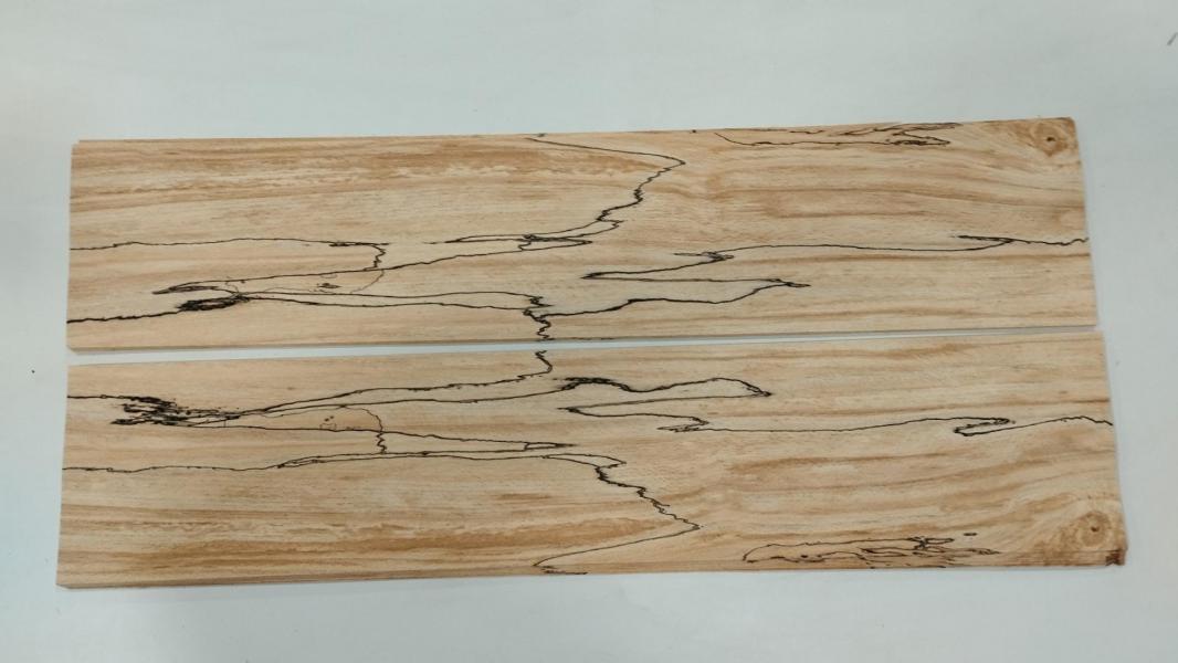 447 hetre truffe feuille de bois marqueterie 2