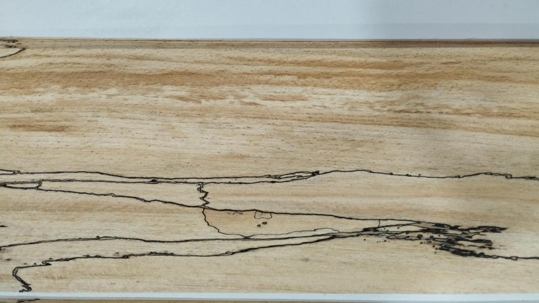 447 hetre truffe feuille de bois marqueterie 3