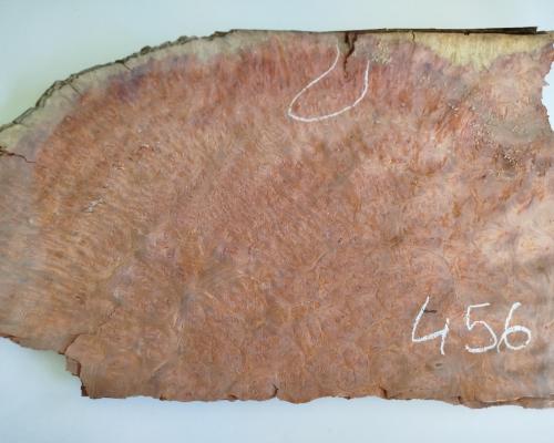 456 placage marqueterie loupe d amboine 1