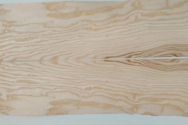 458 frene placage marqueterie feuille de bois 2