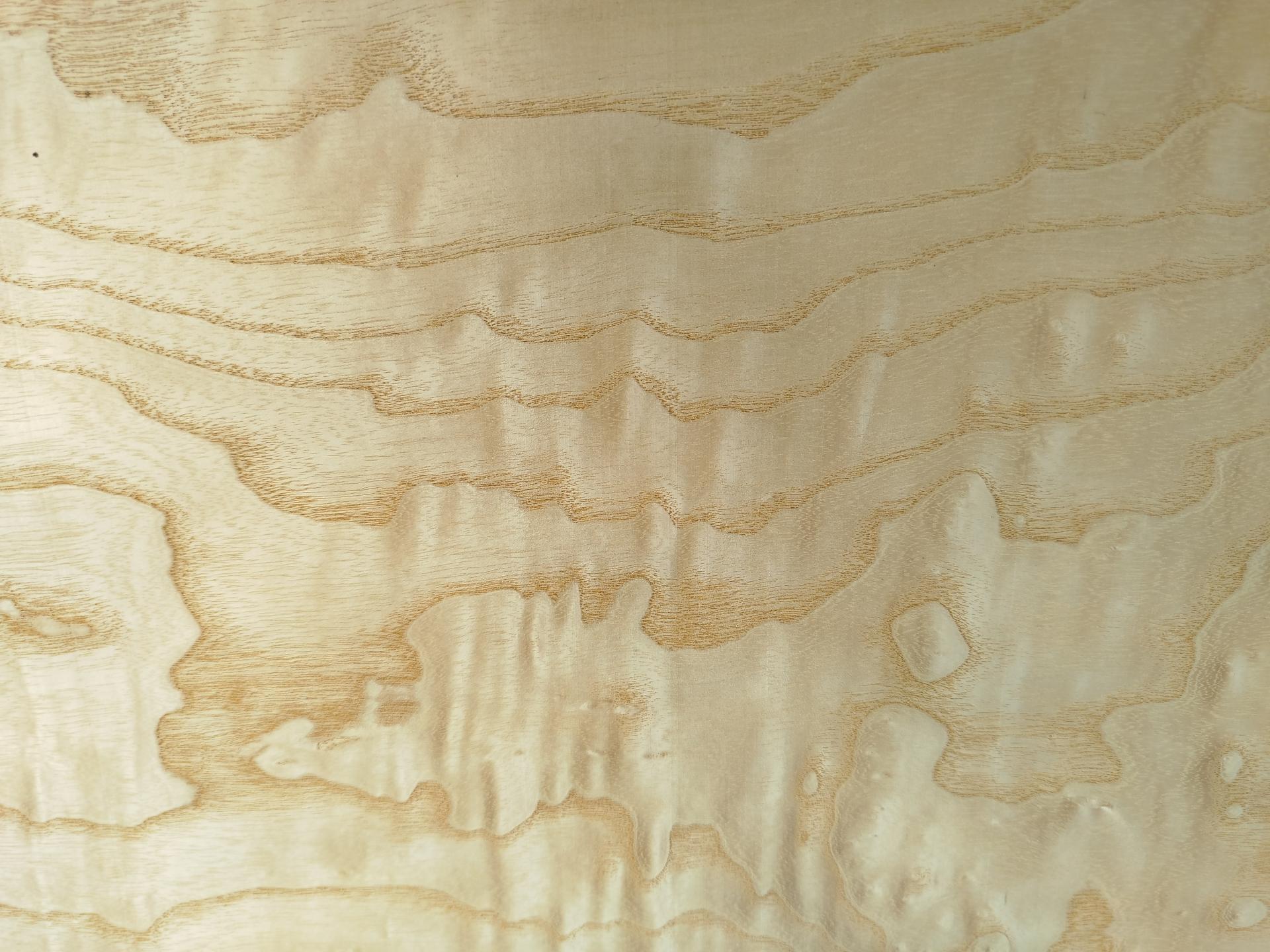 461 frene ramageux placage bois 4