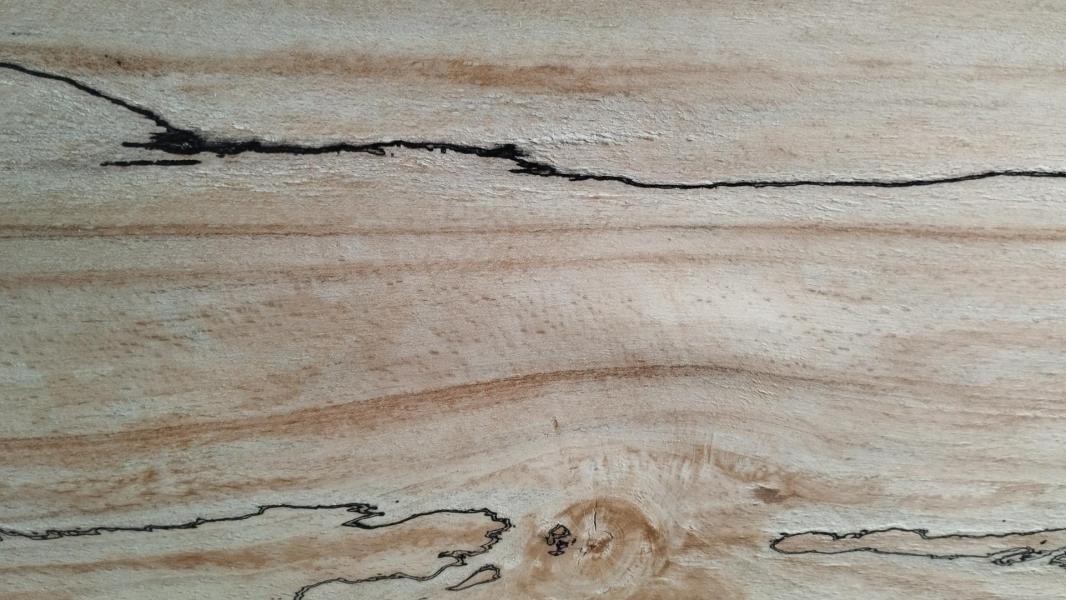 468 placage hetre truffe feuille marqueterie 4