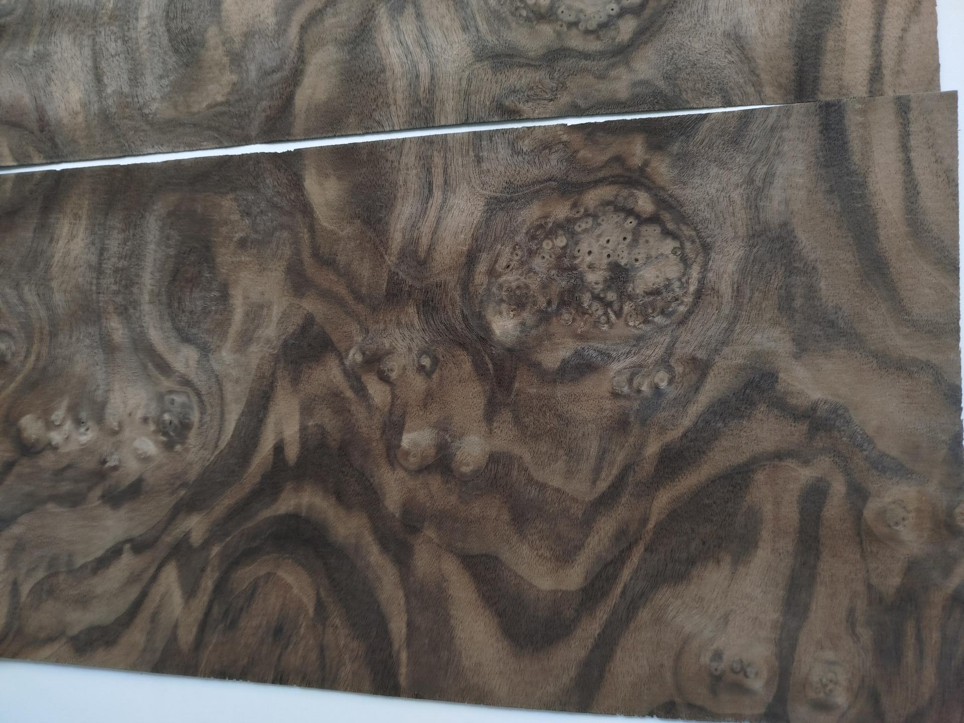 469 placage marqueterie loupe de noyer des usa 4