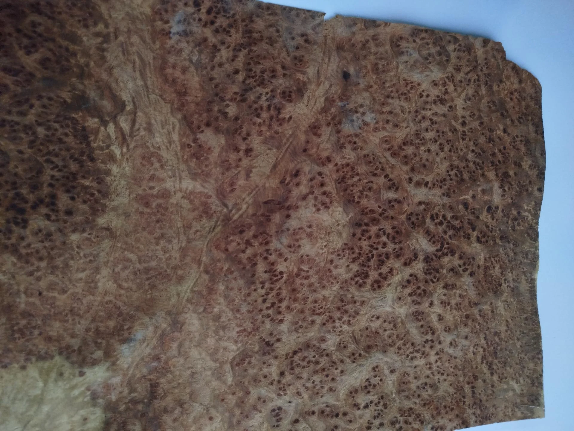 473 placage marqueterie loupe d amboine 2