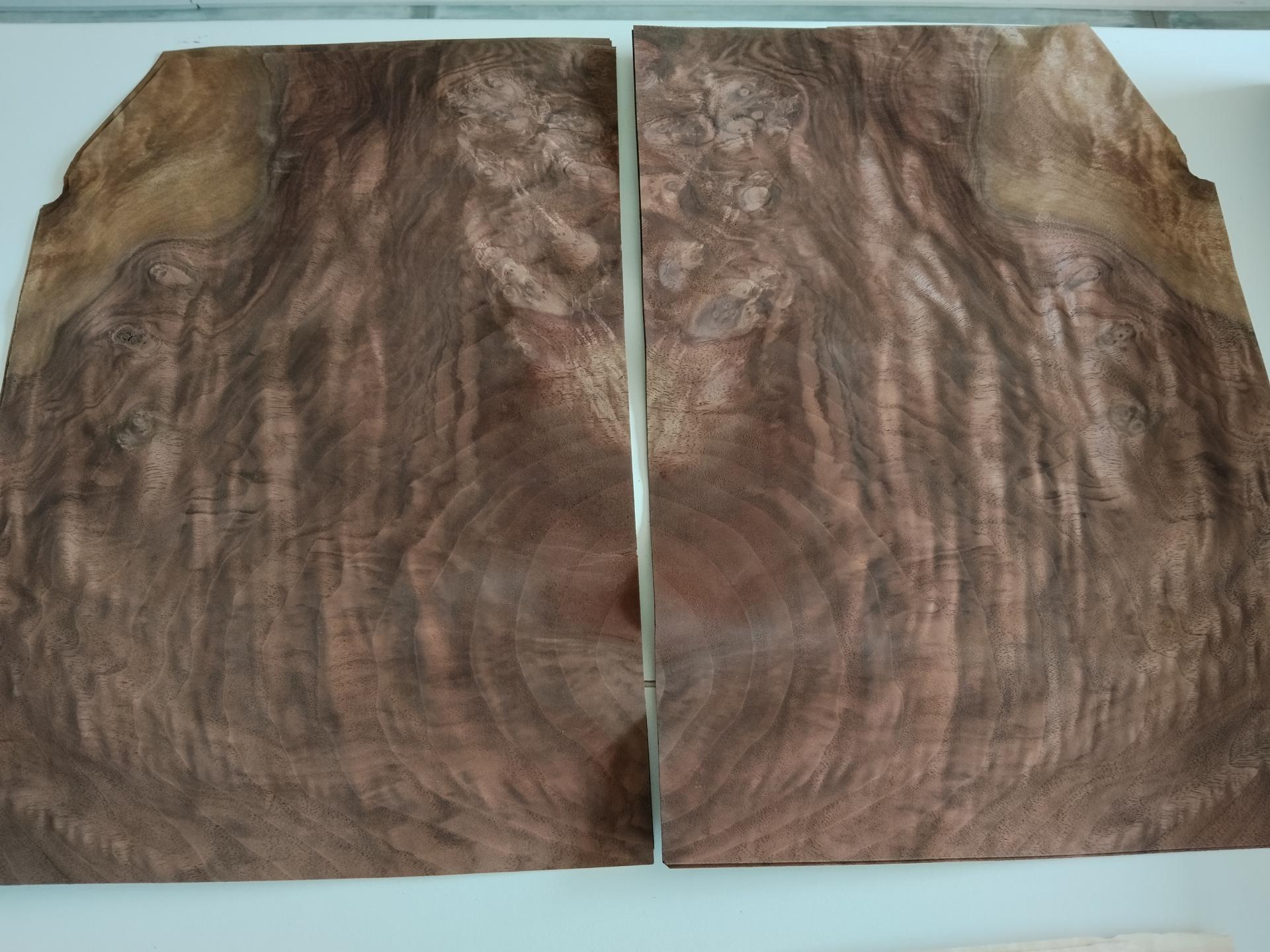 482 noyer ramageux feuille de bois marqueterie 3