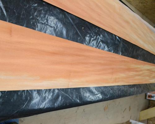 497 placage marqueterie platane 1