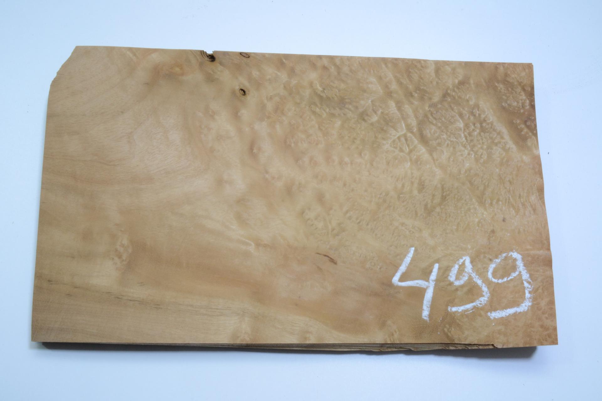 Loupe d'Amboine 28 x 28 cm placages marqueterie ébéniste bois précieux LAMB 