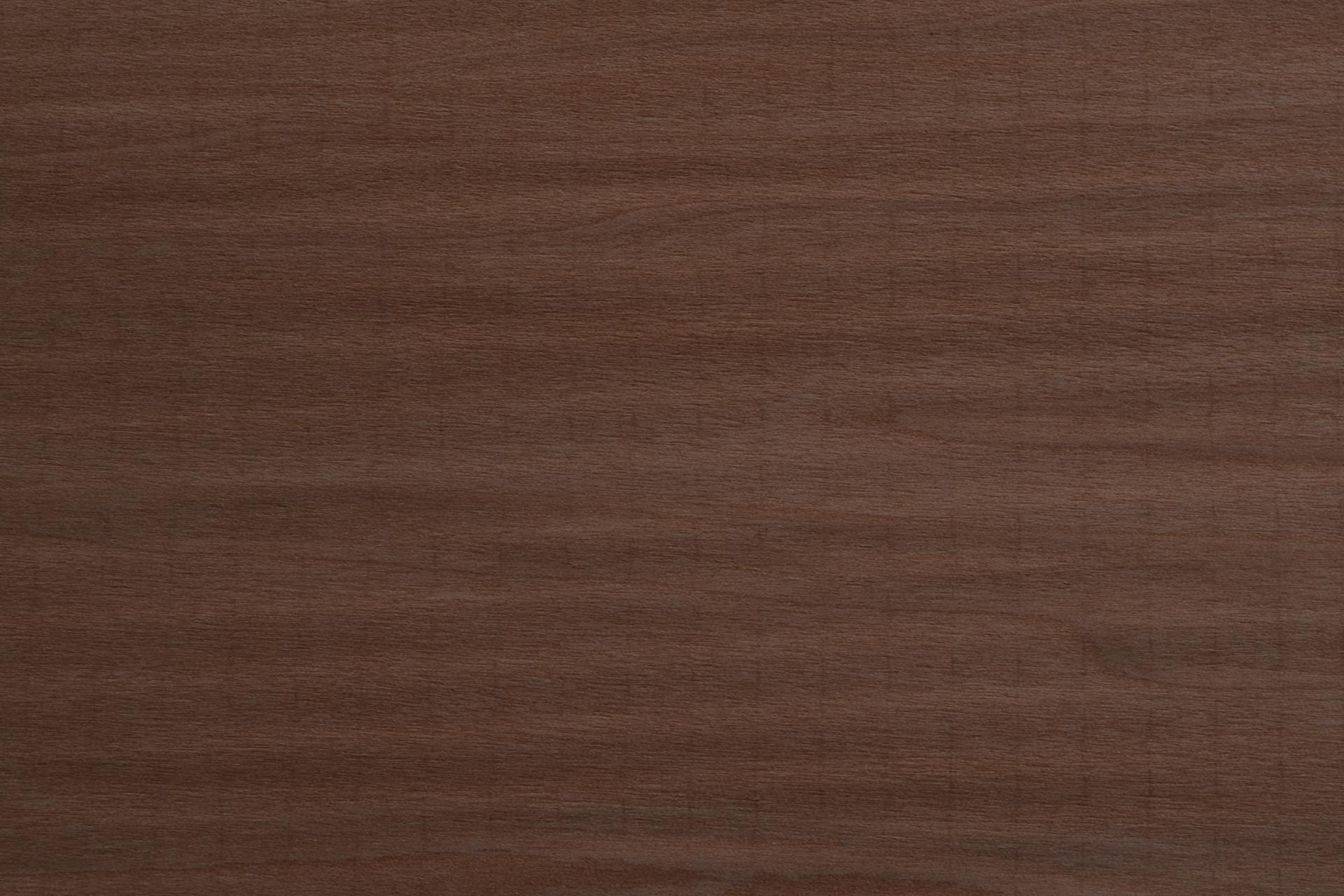 246 Tulipier teinté beige